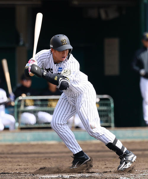 練習試合阪神対DeNA 3回裏阪神1死一塁、死球を受ける梅野（撮影・藤尾明華）