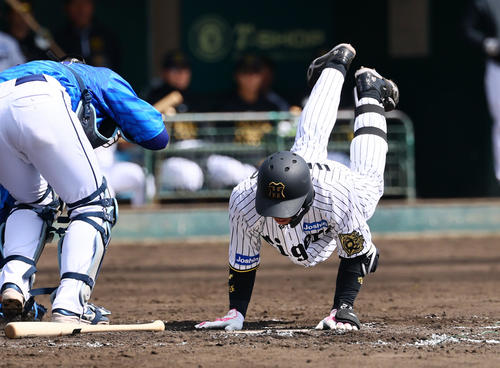 練習試合阪神対DeNA 3回裏阪神1死一塁、死球を受け転倒する梅野（撮影・藤尾明華）