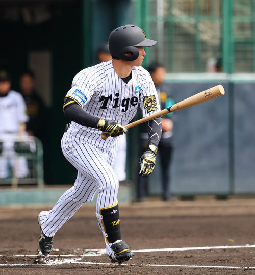 練習試合阪神対DeNA 1回裏阪神無死、近本は左前打を放つ（撮影・藤尾明華）