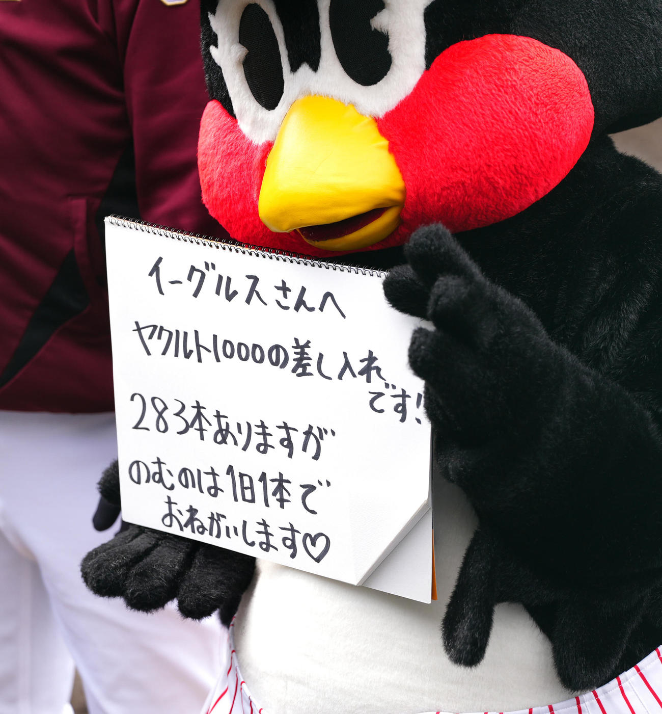 ヤクルト対楽天　試合前、フリップを手にするつばみ（撮影・江口和貴）