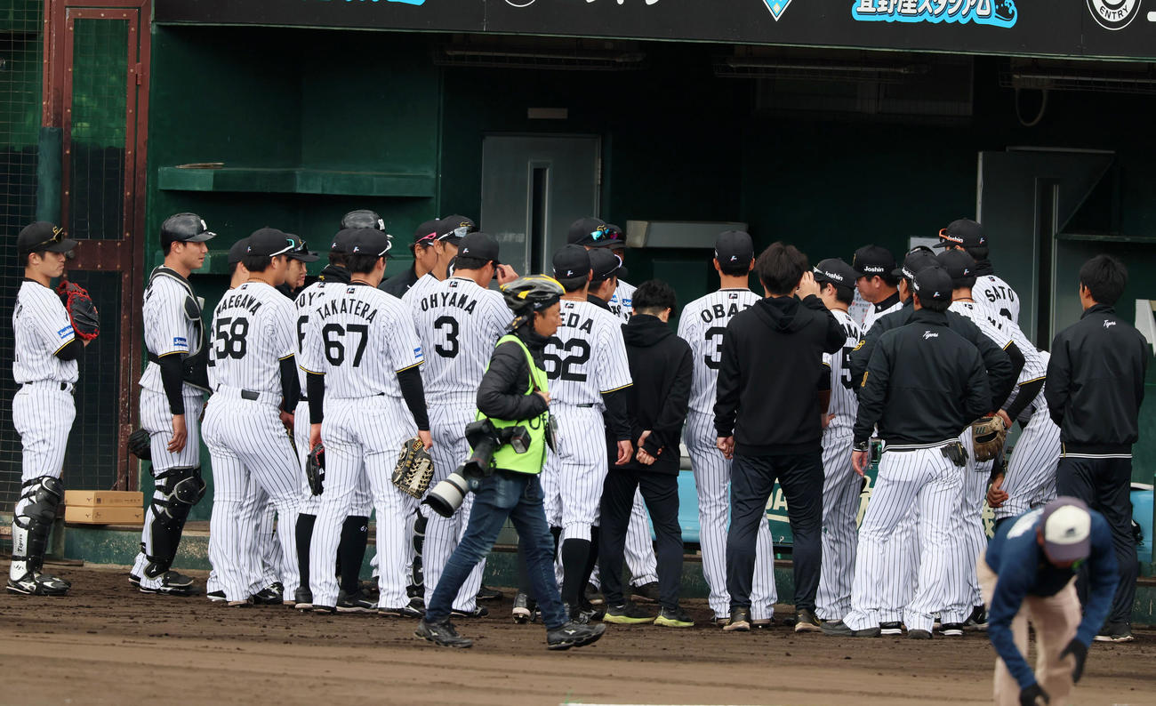 阪神対DeNA　試合前の円陣を組む阪神ナイン（撮影・加藤哉）