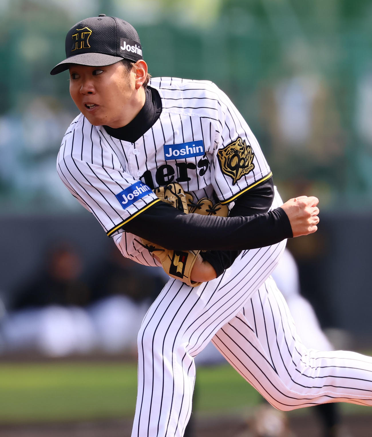 練習試合阪神対DeNA　阪神先発の西勇（撮影・藤尾明華）