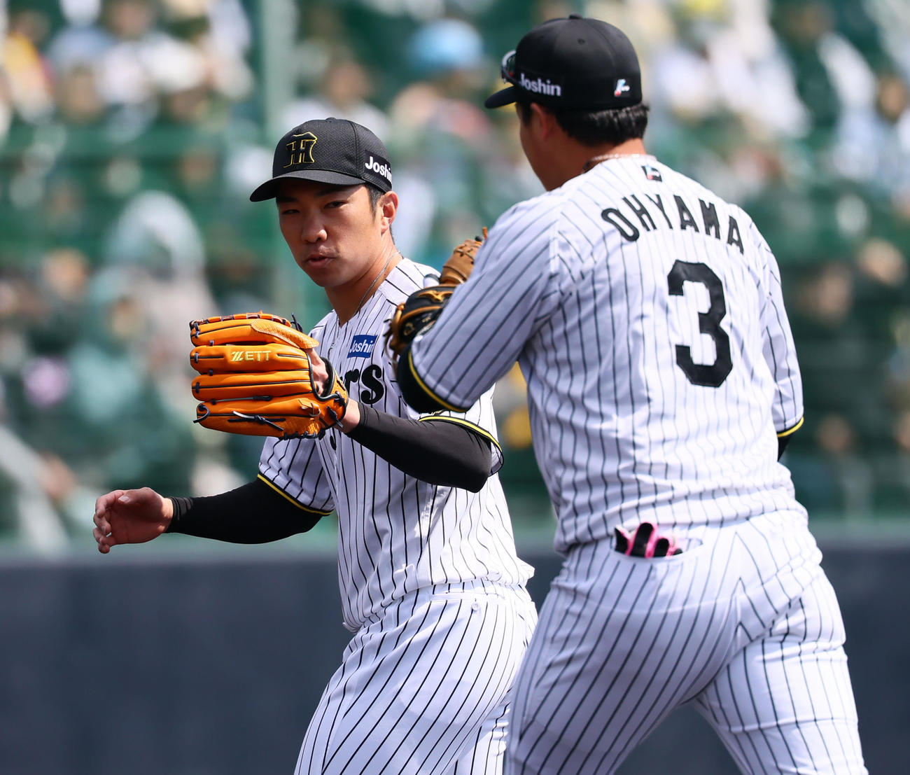 練習試合阪神対DeNA 3回を3人で抑え、大山悠輔とタッチを交わす阪神石井（撮影・藤尾明華）