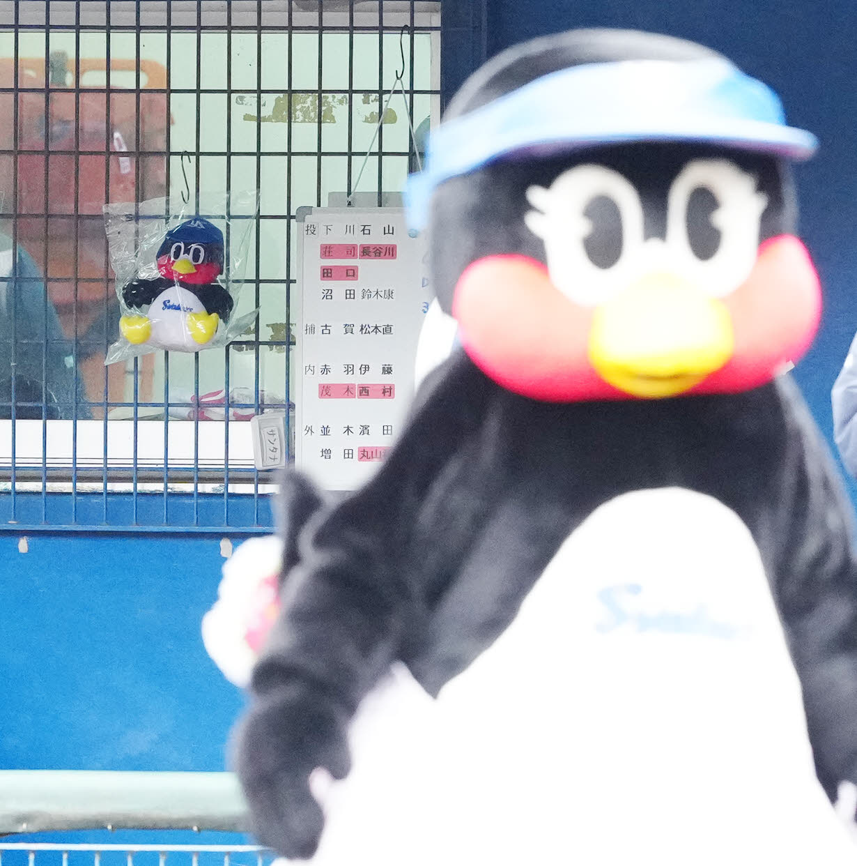 ヤクルト対楽天　ベンチにかけられるつば九郎のぬいぐるみ「すわくろう」」。手前はつばみ（撮影・江口和貴）