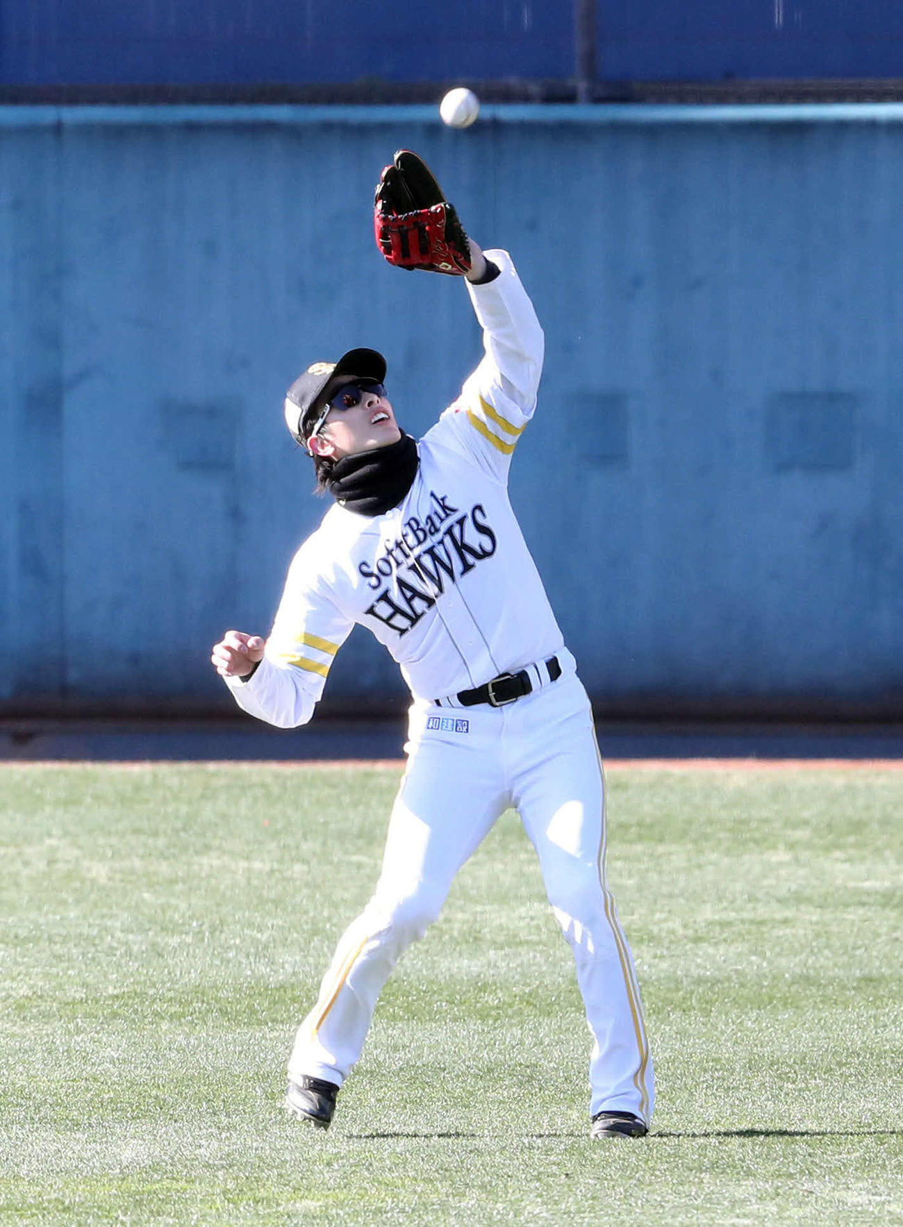 外野でノックを受けるソフトバンク周東（撮影・梅根麻紀）