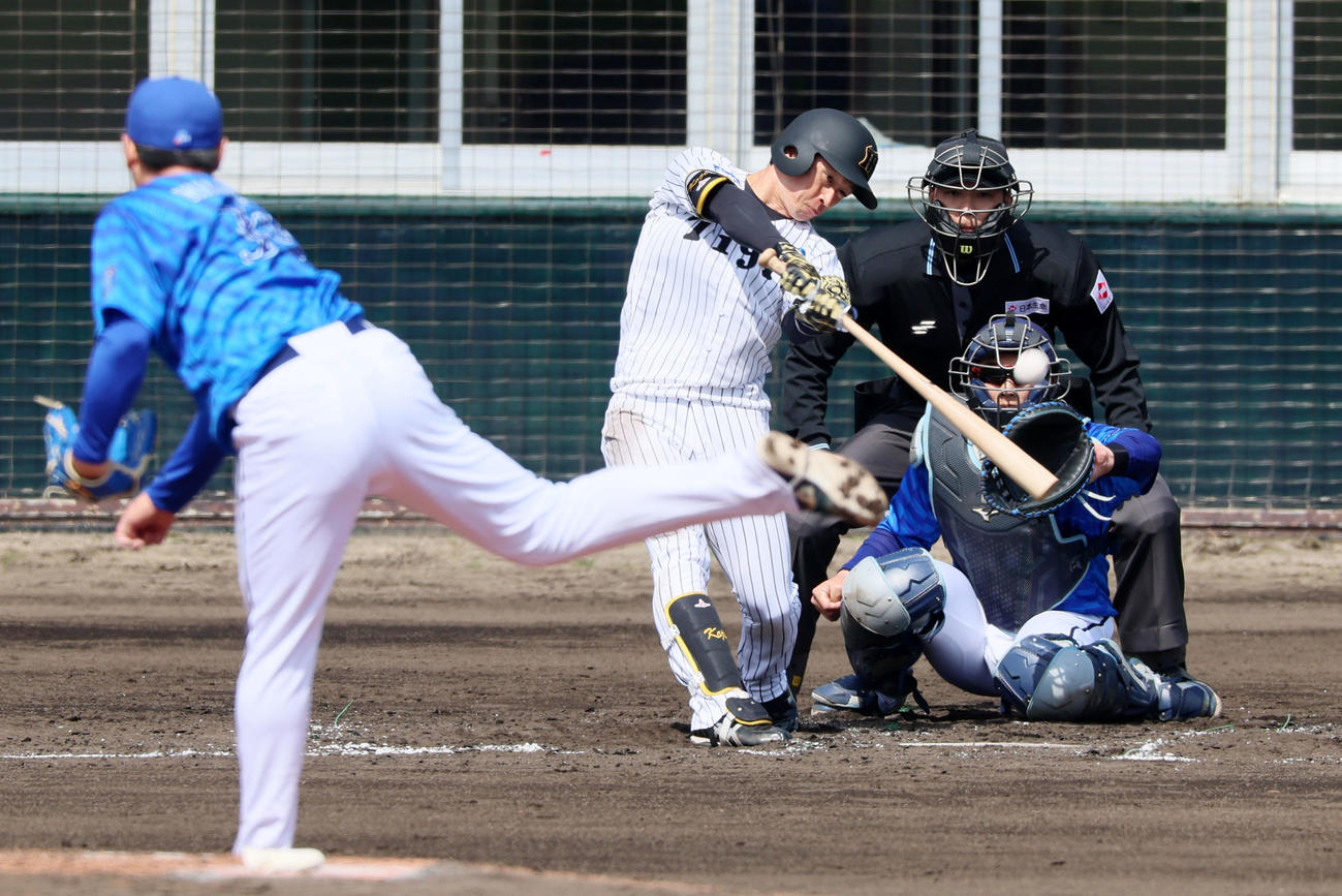 阪神対DeNA 3回裏阪神1死一、三塁、近本は左飛を打ち上げ犠飛となる。投手若松（撮影・加藤哉）