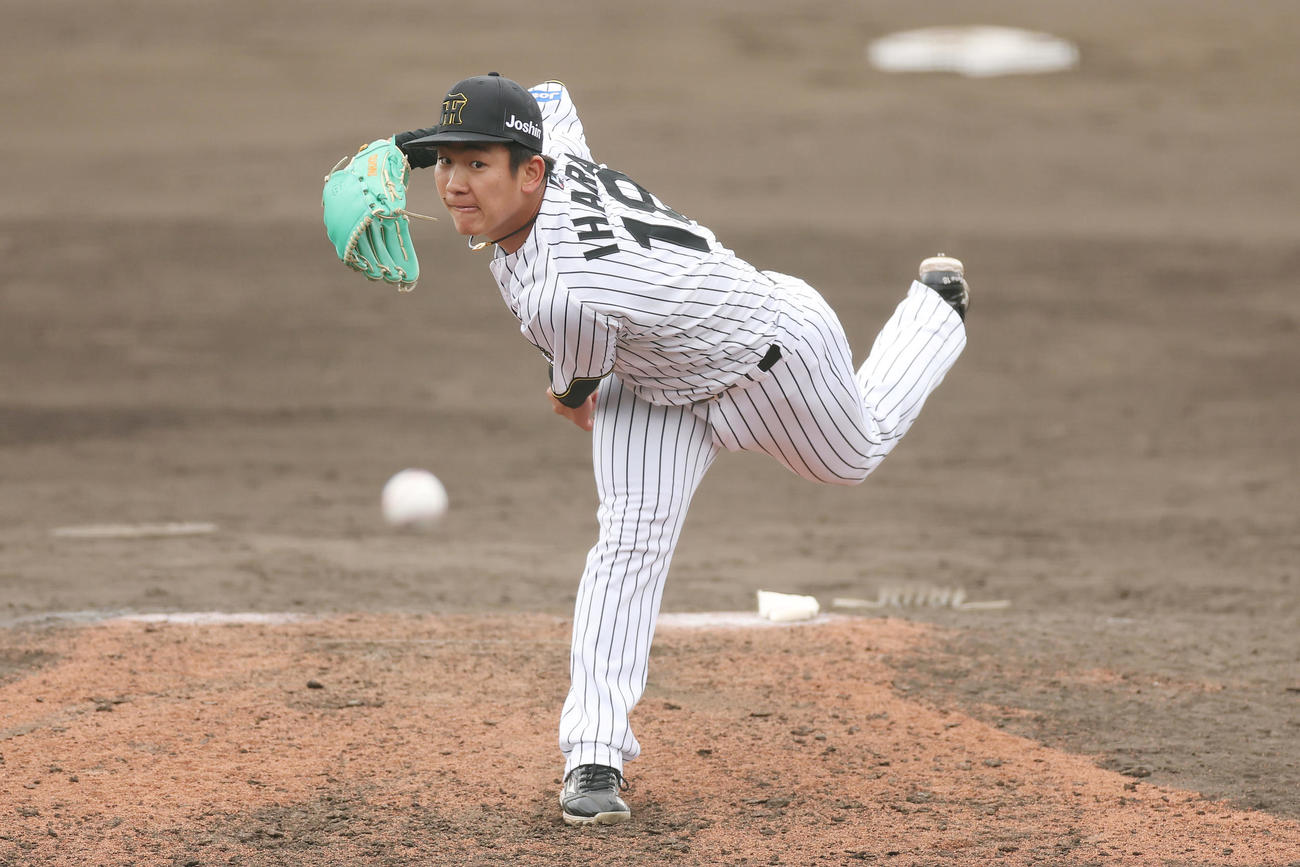 阪神対DeNA　力投する阪神8番手の伊原（撮影・前田充）
