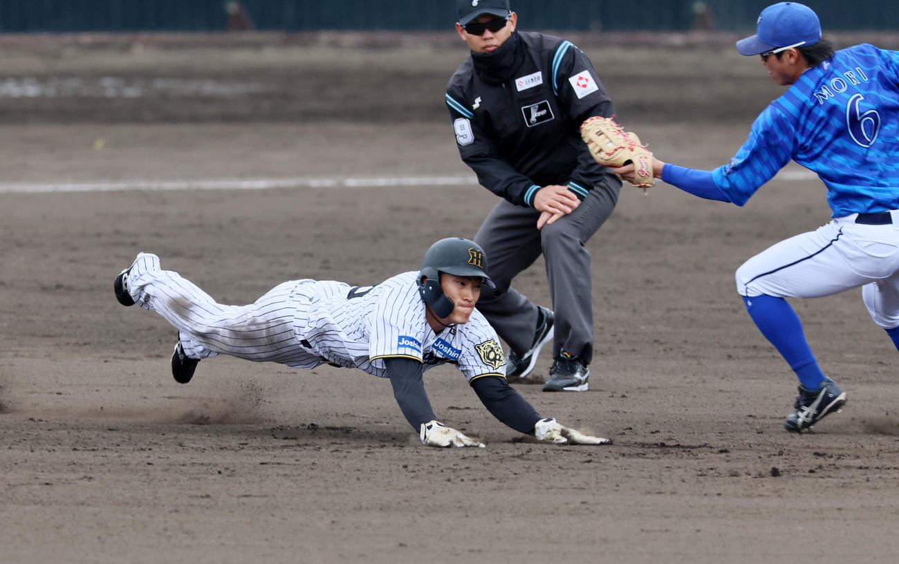 阪神対DeNA 7回裏阪神無死一塁、福島は打者小幡のとき二塁盗塁を決める（撮影・加藤哉）