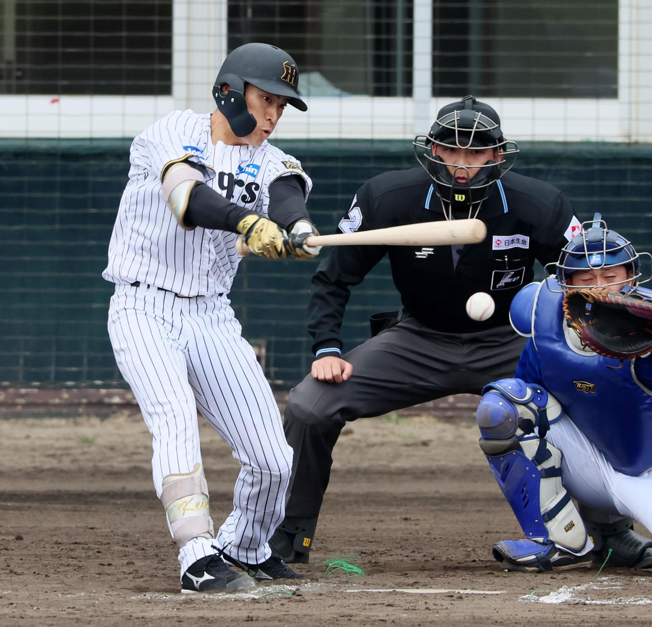阪神対DeNA 7回裏阪神無死、福島は中前打を放つ（撮影・加藤哉）