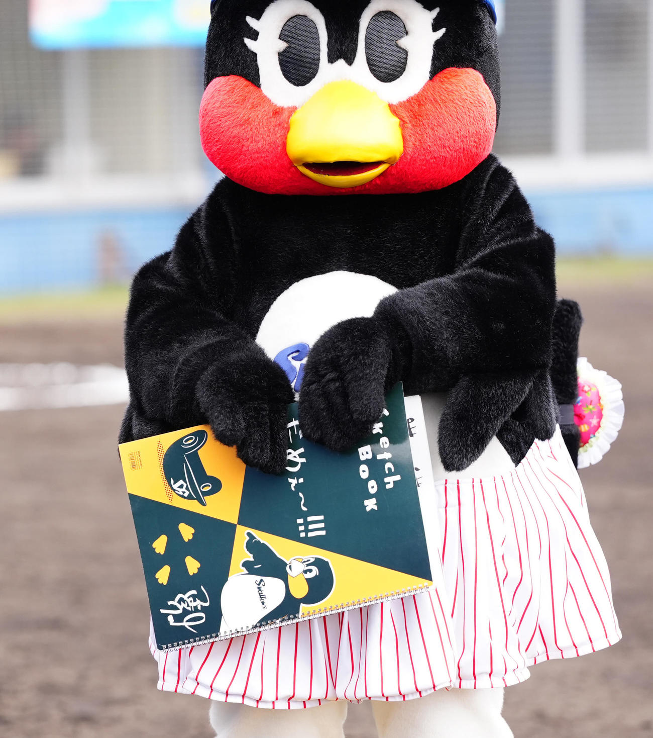 ヤクルト対楽天　5回裏終了後、スケッチブックを手にするつばみ（撮影・江口和貴）