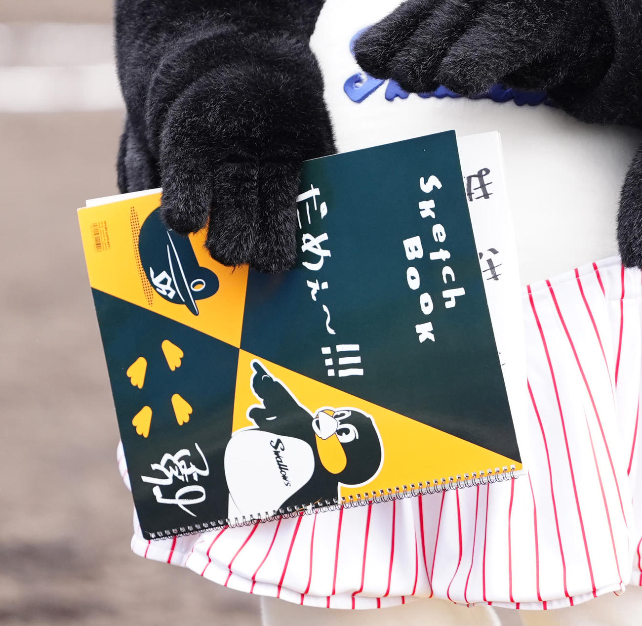 ヤクルト対楽天　5回裏終了後、スケッチブックを手にするつばみ（撮影・江口和貴）