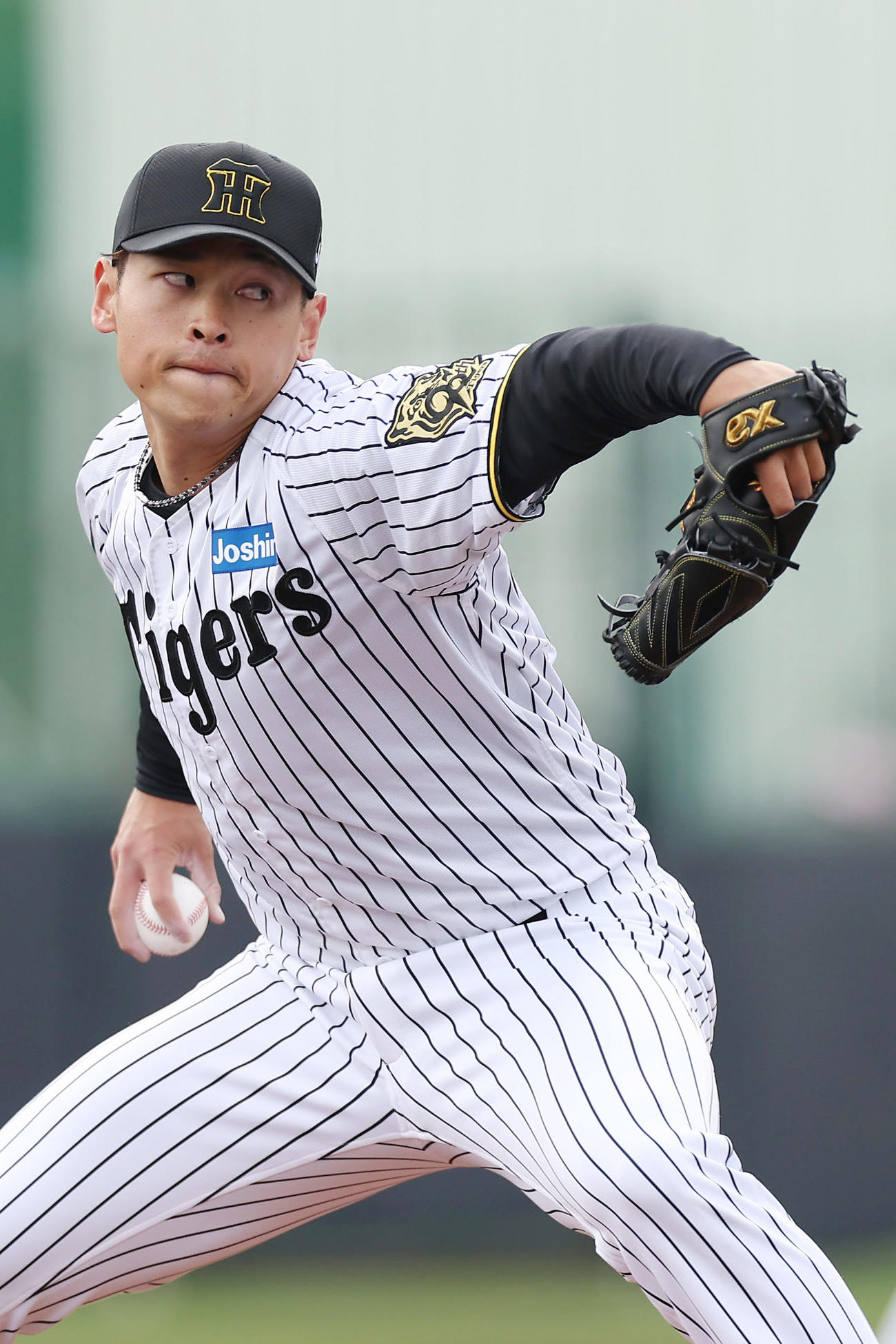 阪神対DeNA　力投する阪神6番手の早川（撮影・前田充）