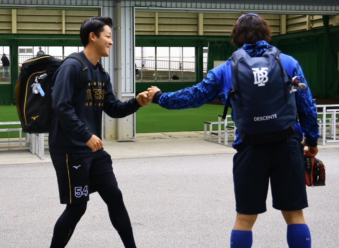 練習試合のため宜野座に到着したDeNA井上とグータッチを交わす阪神木下里都（撮影・藤尾明華）