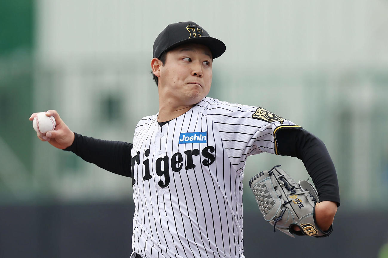 阪神対DeNA　力投する阪神5番手の木下（撮影・前田充）