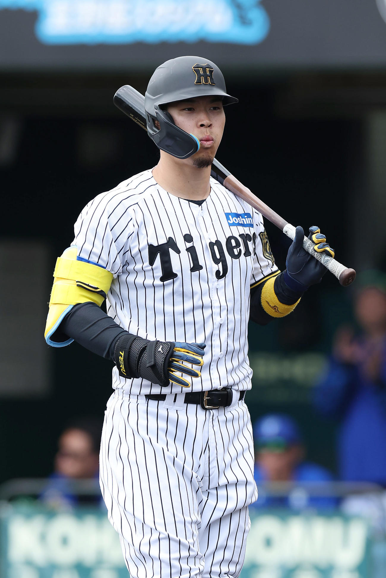 阪神対DeNA 4回裏阪神無死、見逃し三振に倒れた佐藤輝（撮影・前田充）