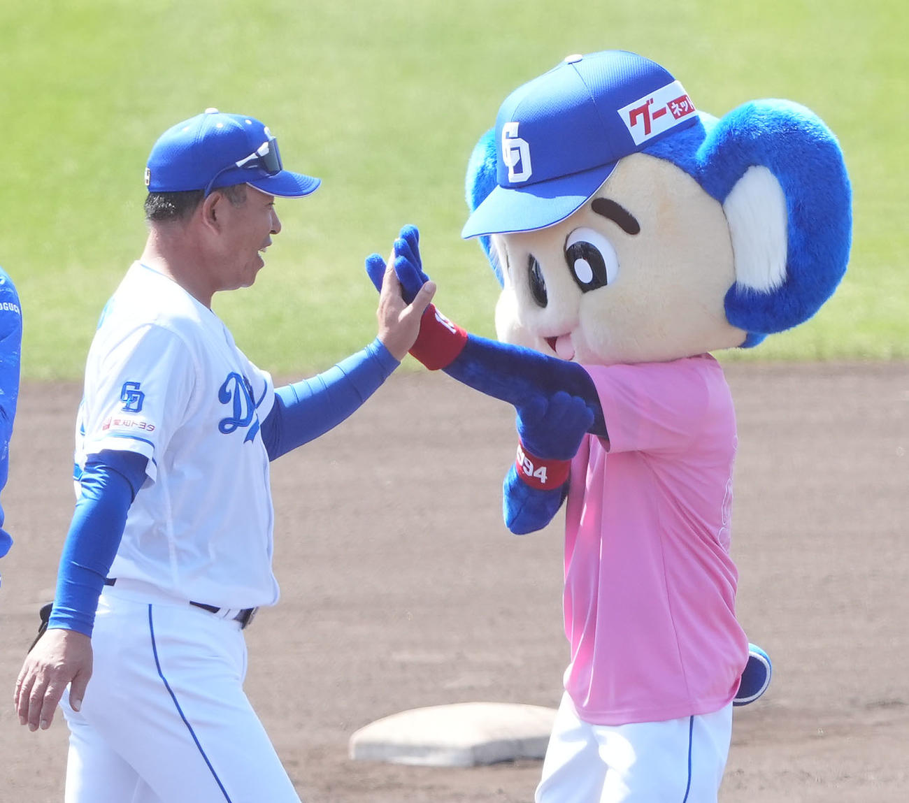 キャンプを打ち上げドアラとタッチを交わす井上監督（左）（撮影・森本幸一）