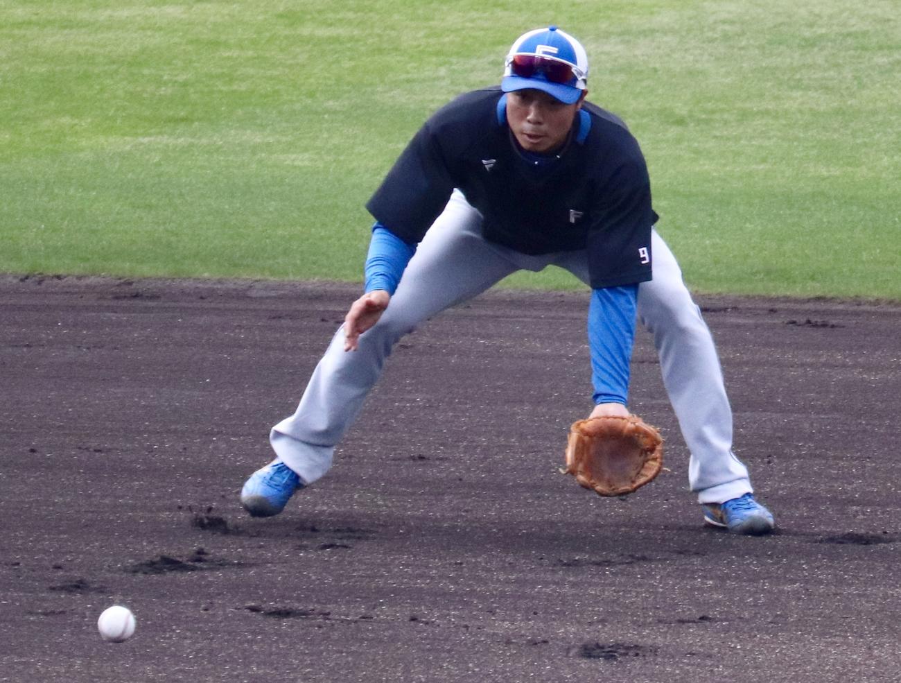 打球を処理する日本ハム中島（撮影・黒須亮）