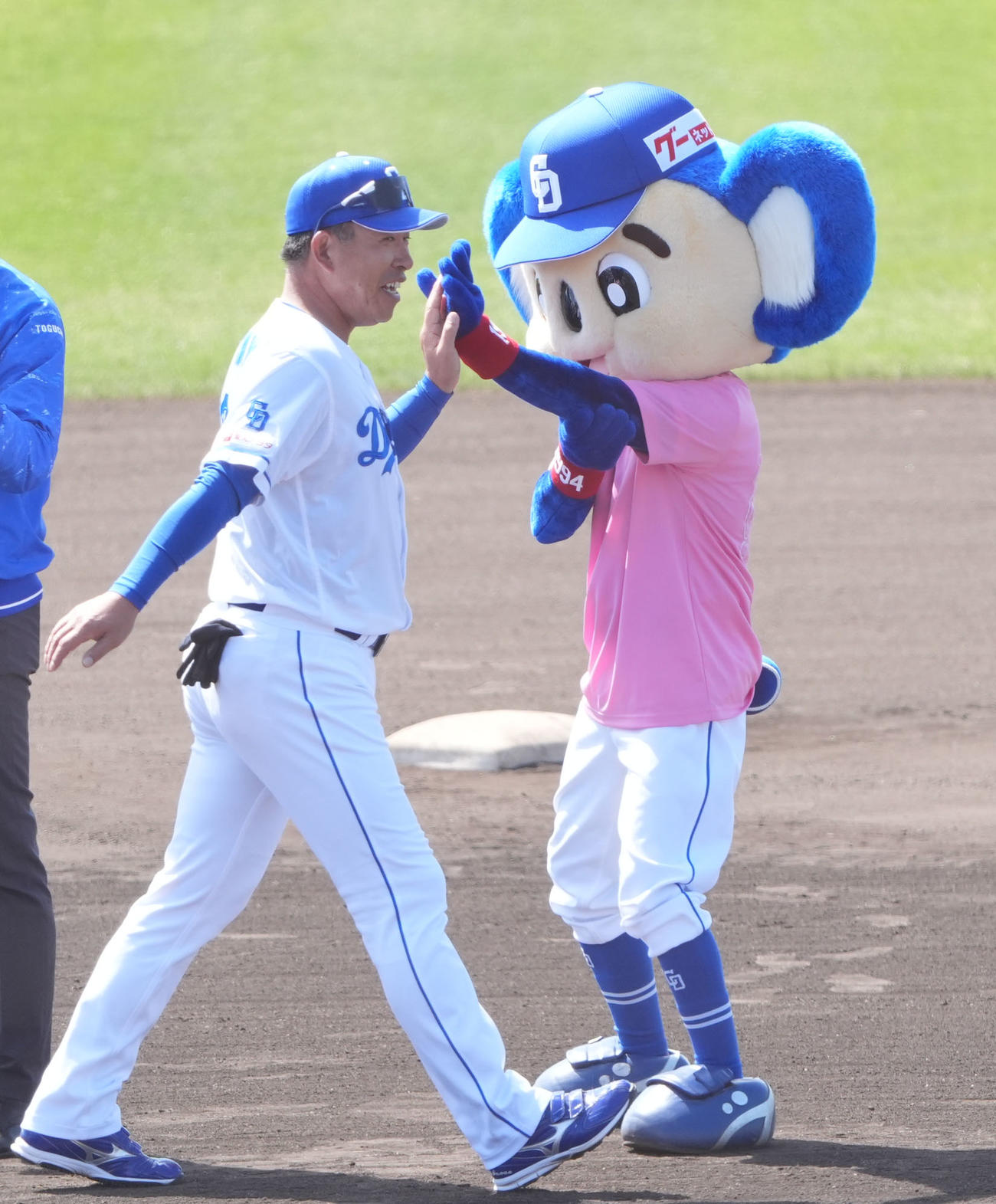 キャンプを打ち上げドアラとタッチを交わす井上監督（左）（撮影・森本幸一）