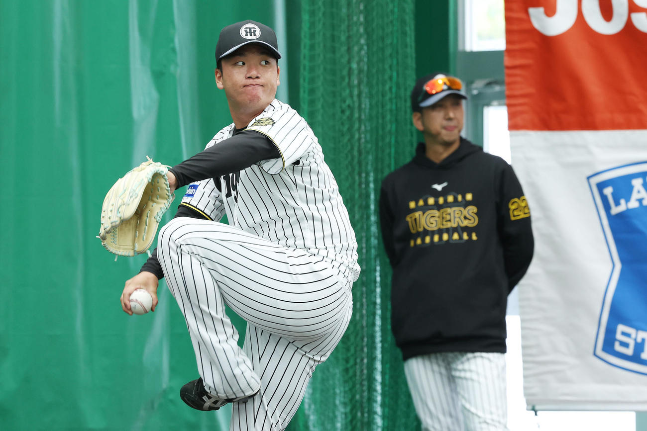 阪神藤川監督（後方）が見守る前で投球練習する村上（撮影・前田充）