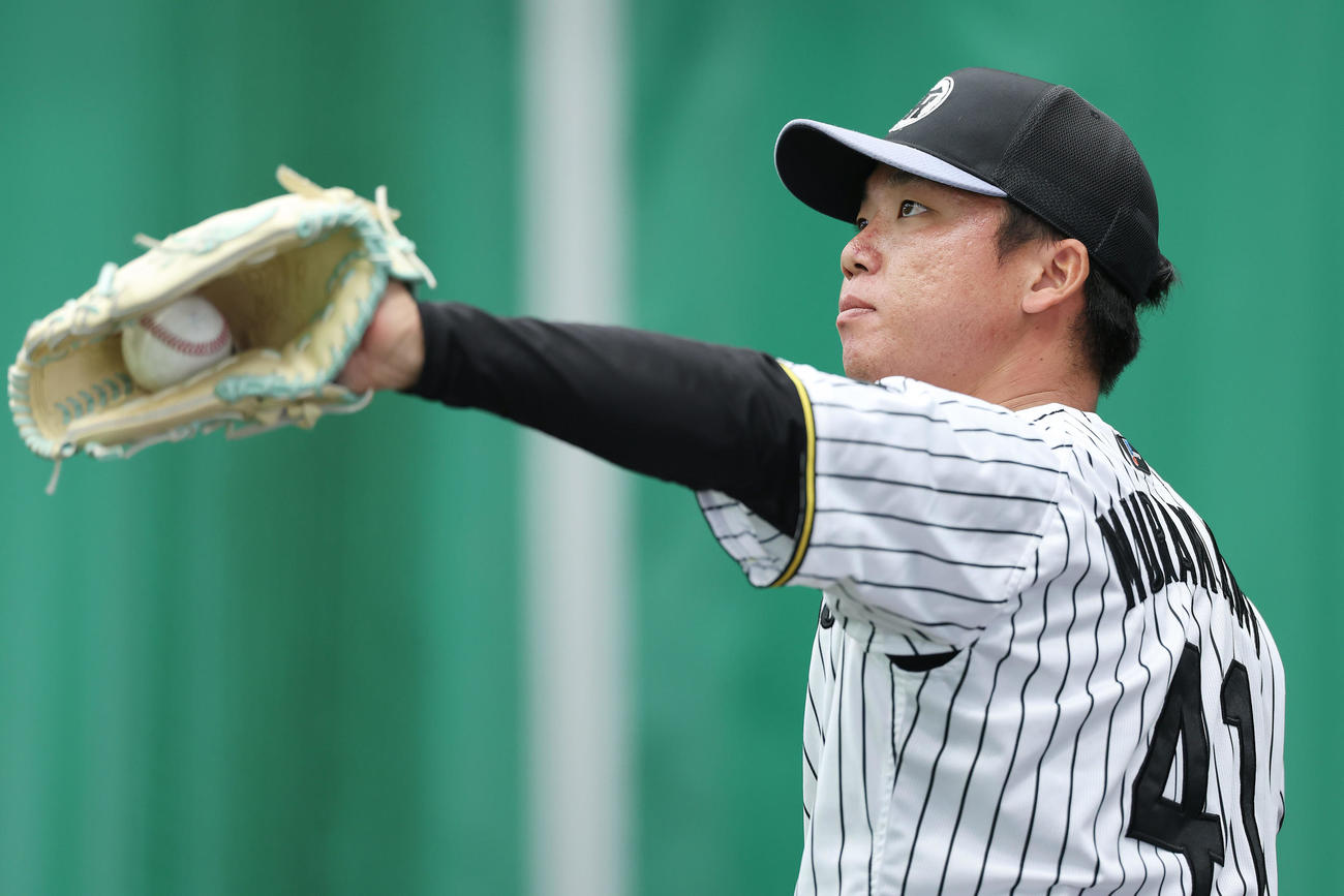 ブルペンで投球練習する阪神村上（撮影・前田充）
