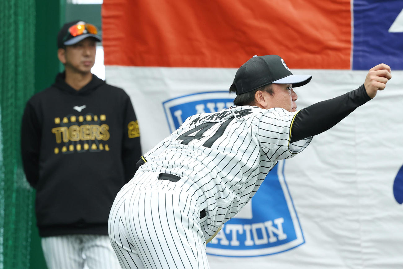 阪神藤川監督（左）が見守る前で投球練習する村上（撮影・前田充）