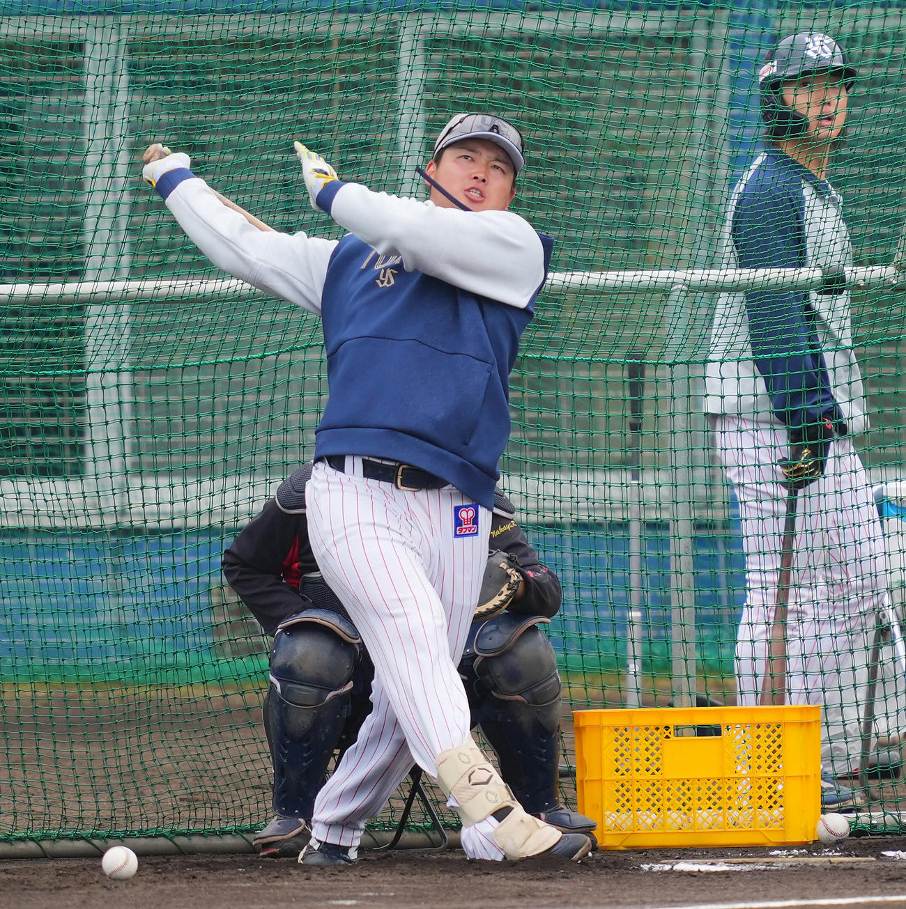 フリー打撃で快音を響かせるヤクルト村上（撮影・垰建太）