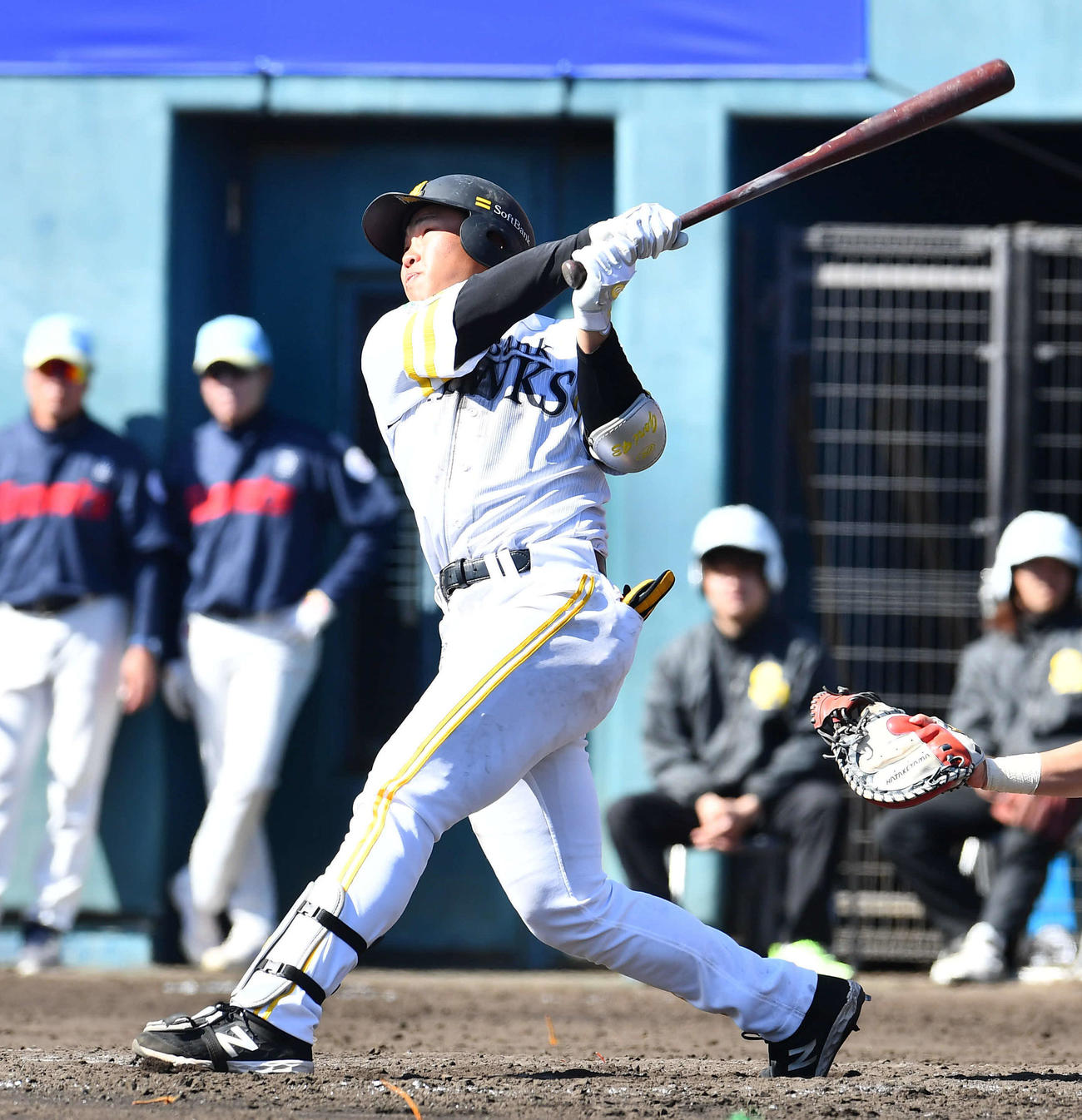 ソフトバンク対韓国ロッテ　4回裏ソフトバンク2死、井上は左越えに同点本塁打を放つ（撮影・岩下翔太）
