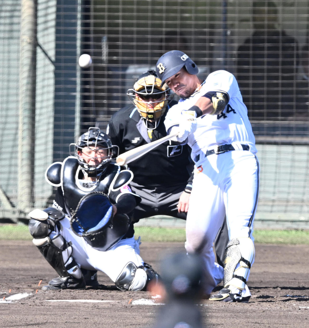 オリックス対ロッテ　6回裏オリックス無死、左中間にソロ本塁打を放つ頓宮（撮影・和賀正仁）