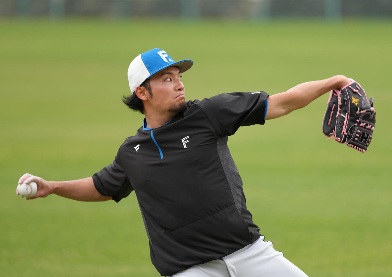 キャッチボールで調整する日本ハム伊藤（撮影・足立雅史）