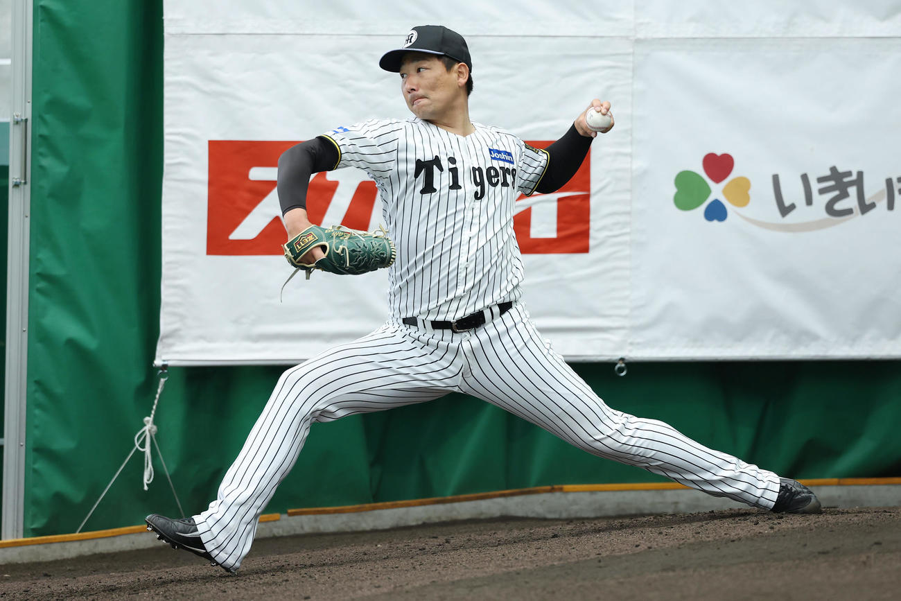 ブルペンで投球練習する阪神岩崎（撮影・前田充）