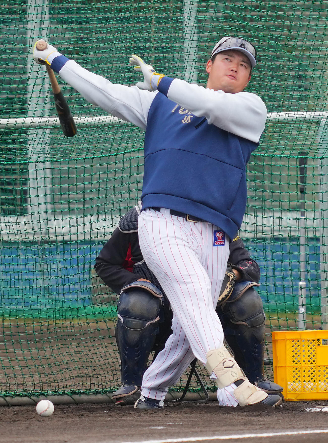 フリー打撃で快音を響かせるヤクルト村上（撮影・垰建太）