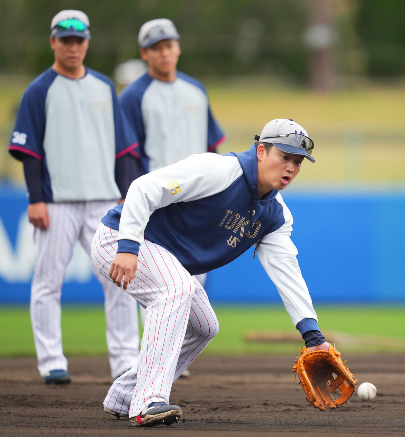 内野でノックを受けるヤクルト村上（撮影・垰建太）
