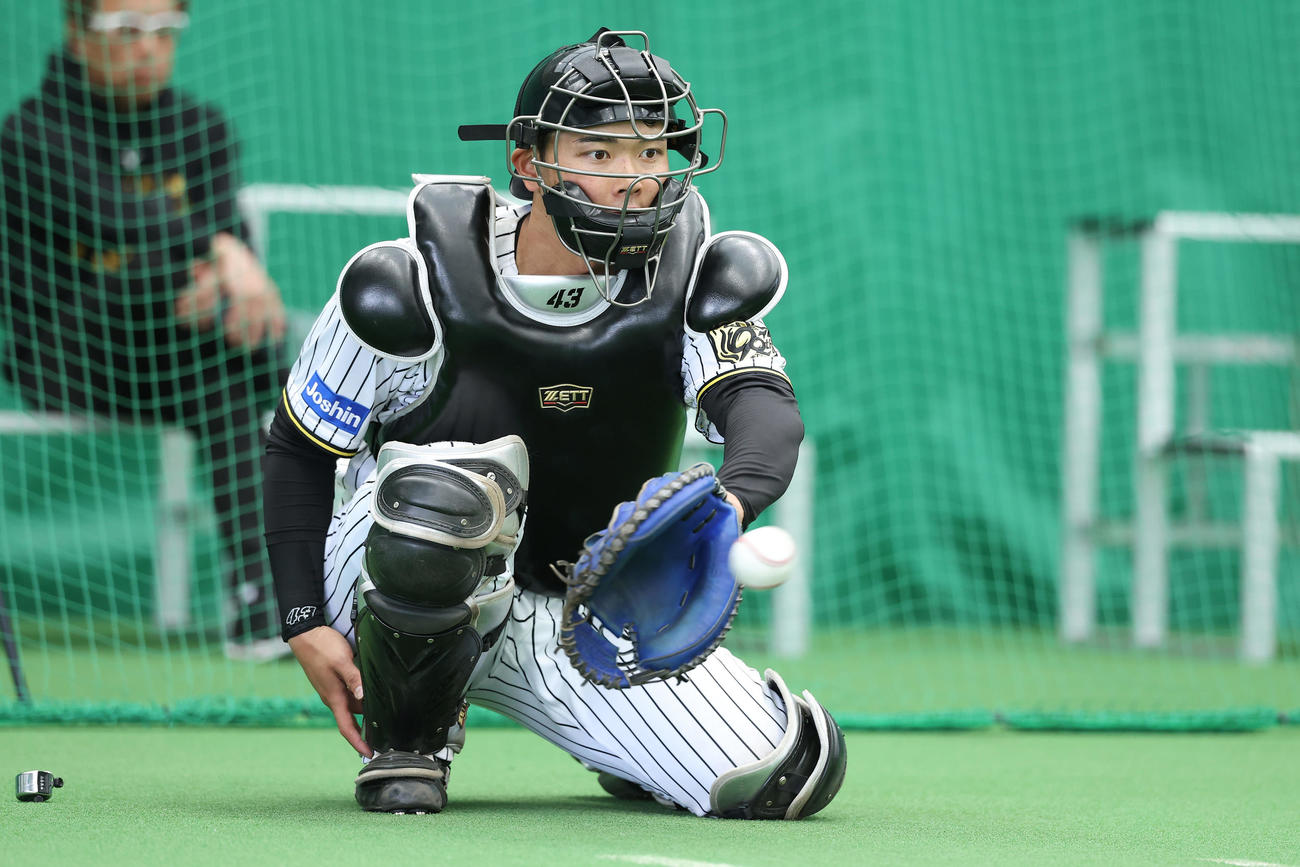 ブルペンで阪神村上の投球を受ける町田（撮影・前田充）