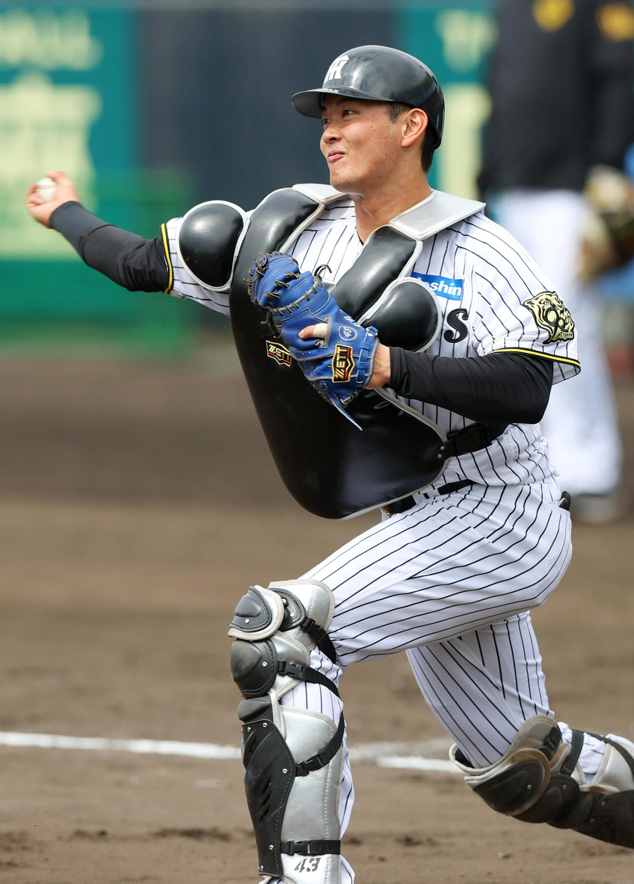 阪神町田はシートノックで三塁に送球する（撮影・上山淳一）