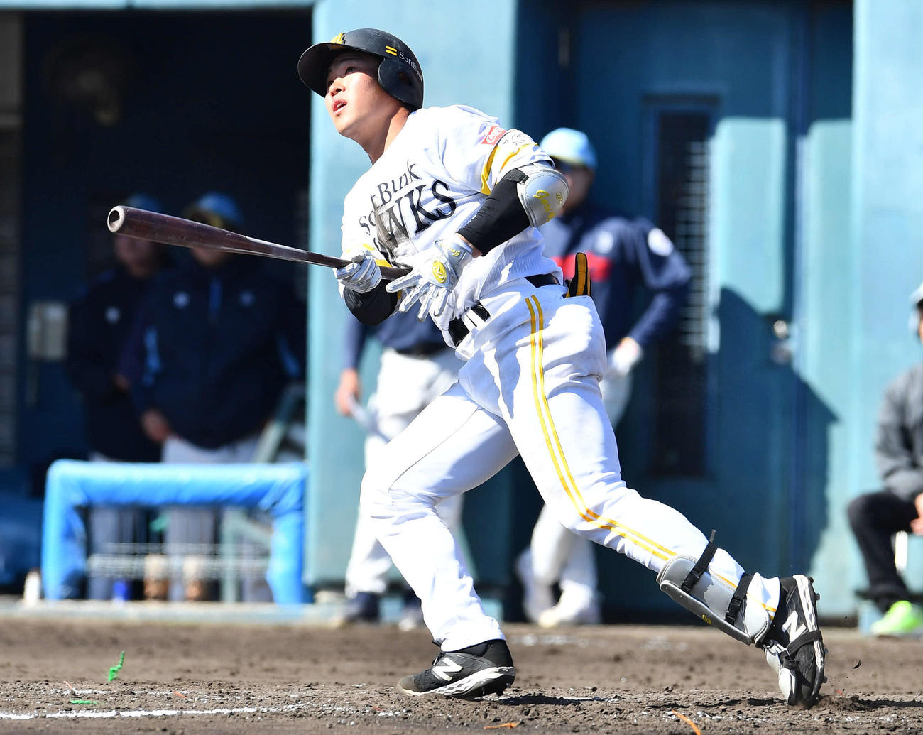 ソフトバンク対韓国ロッテ　4回裏ソフトバンク2死、井上は左越え同点本塁打を放つ（撮影・岩下翔太）