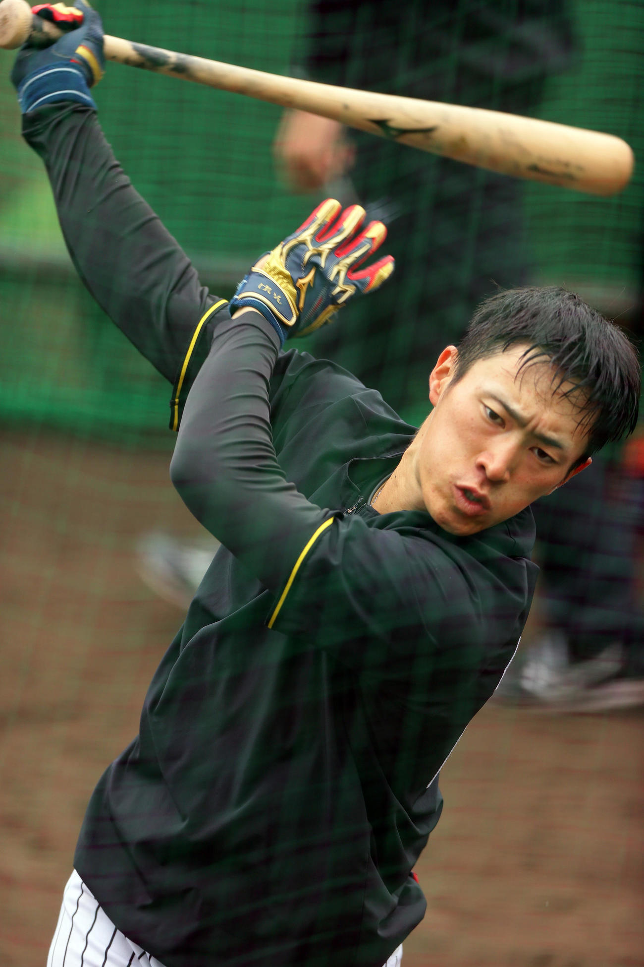 阪神福島はトス打撃する（撮影・上山淳一）
