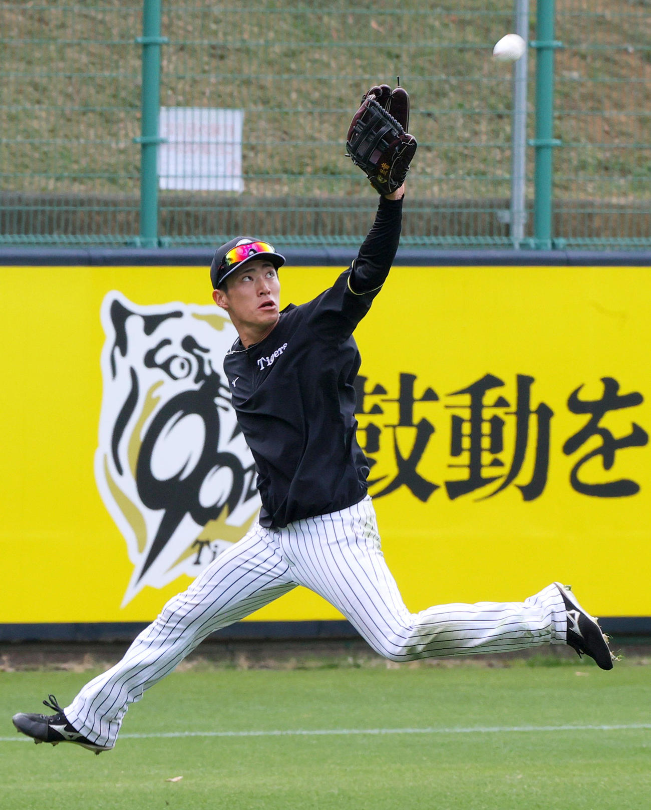 外野で打球を追う阪神福島（撮影・上山淳一）