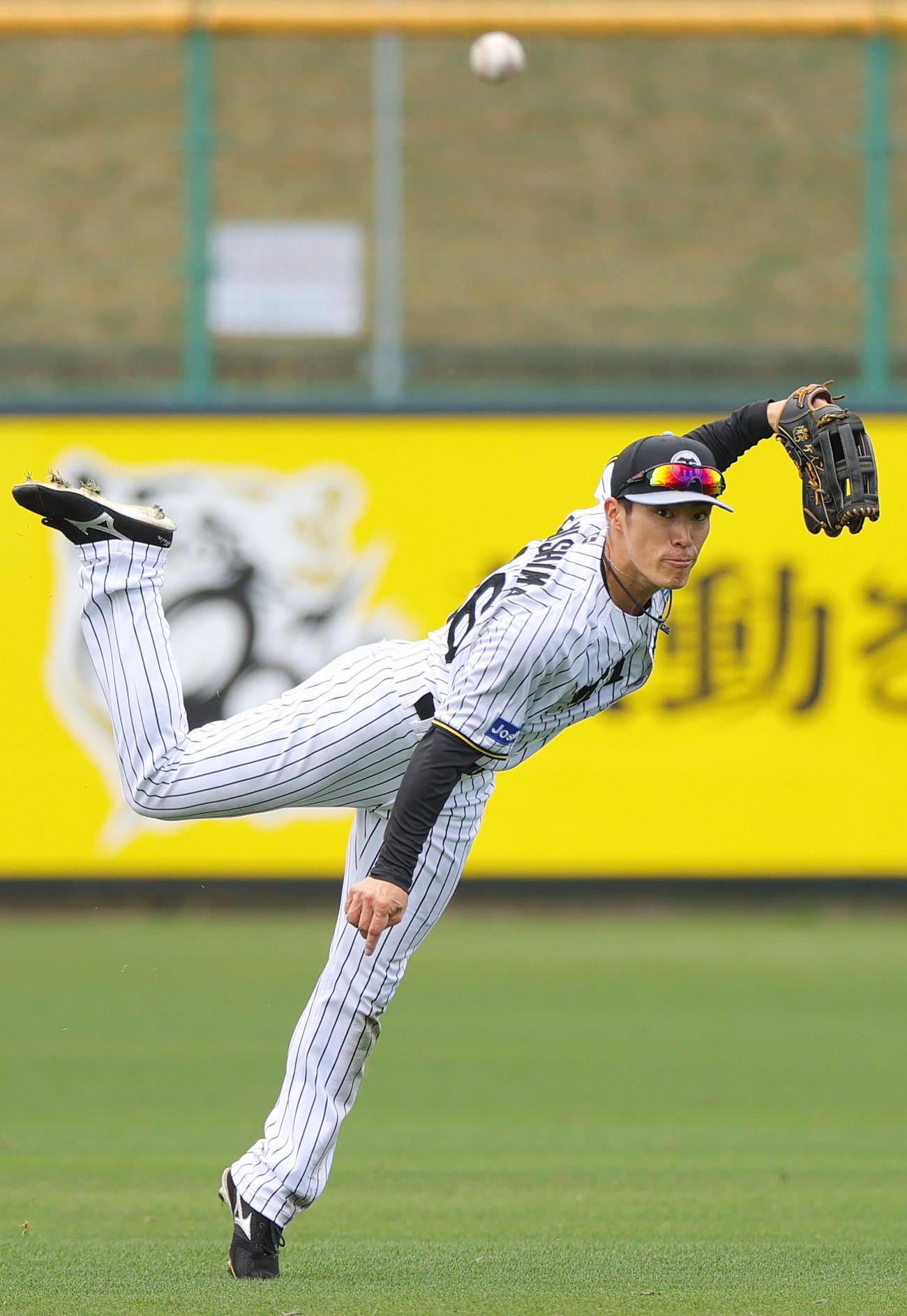 阪神福島はシートノックで送球する（撮影・上山淳一）
