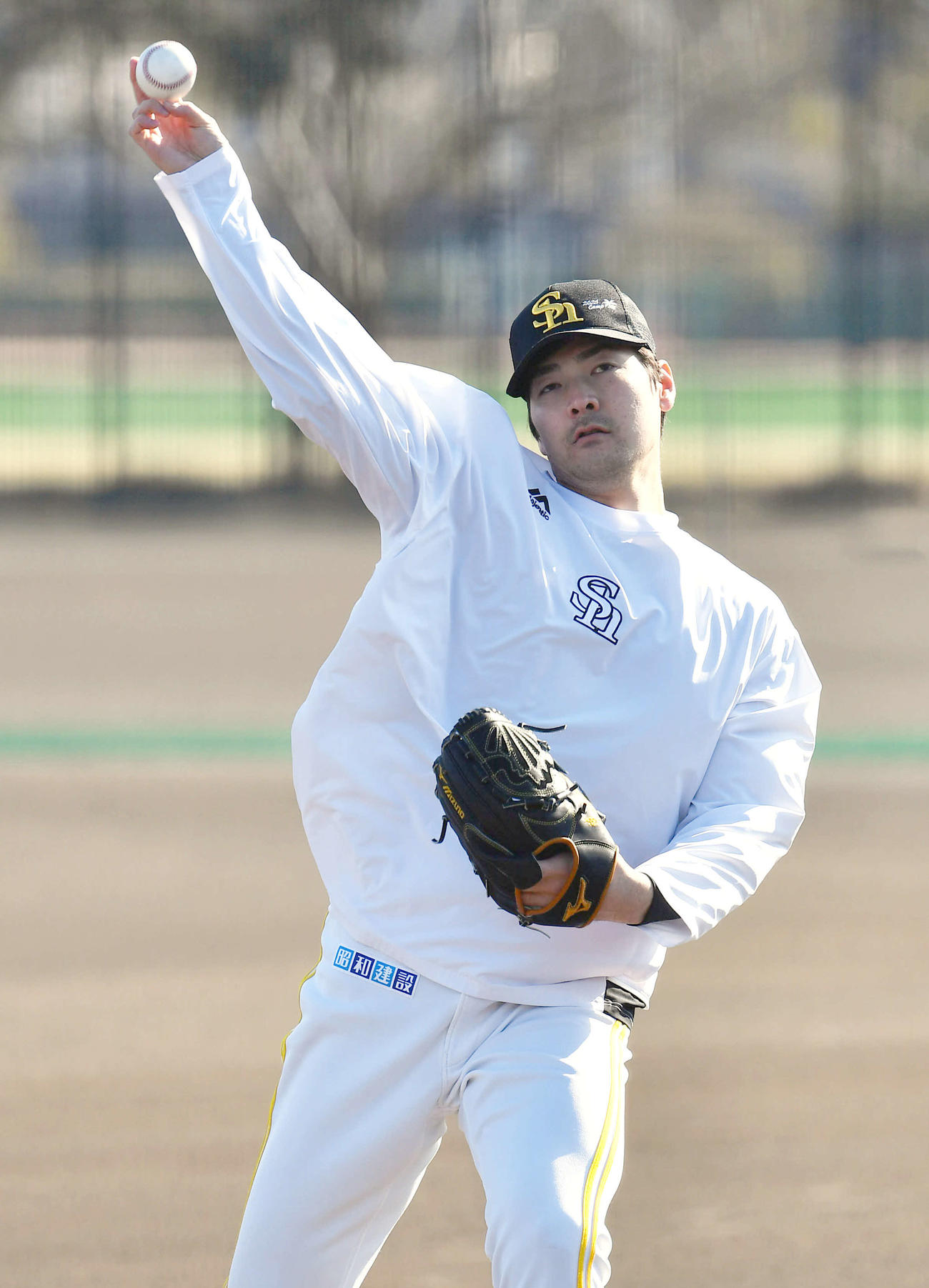 キャッチボールを行うソフトバンク有原（２月26日撮影・岩下翔太）