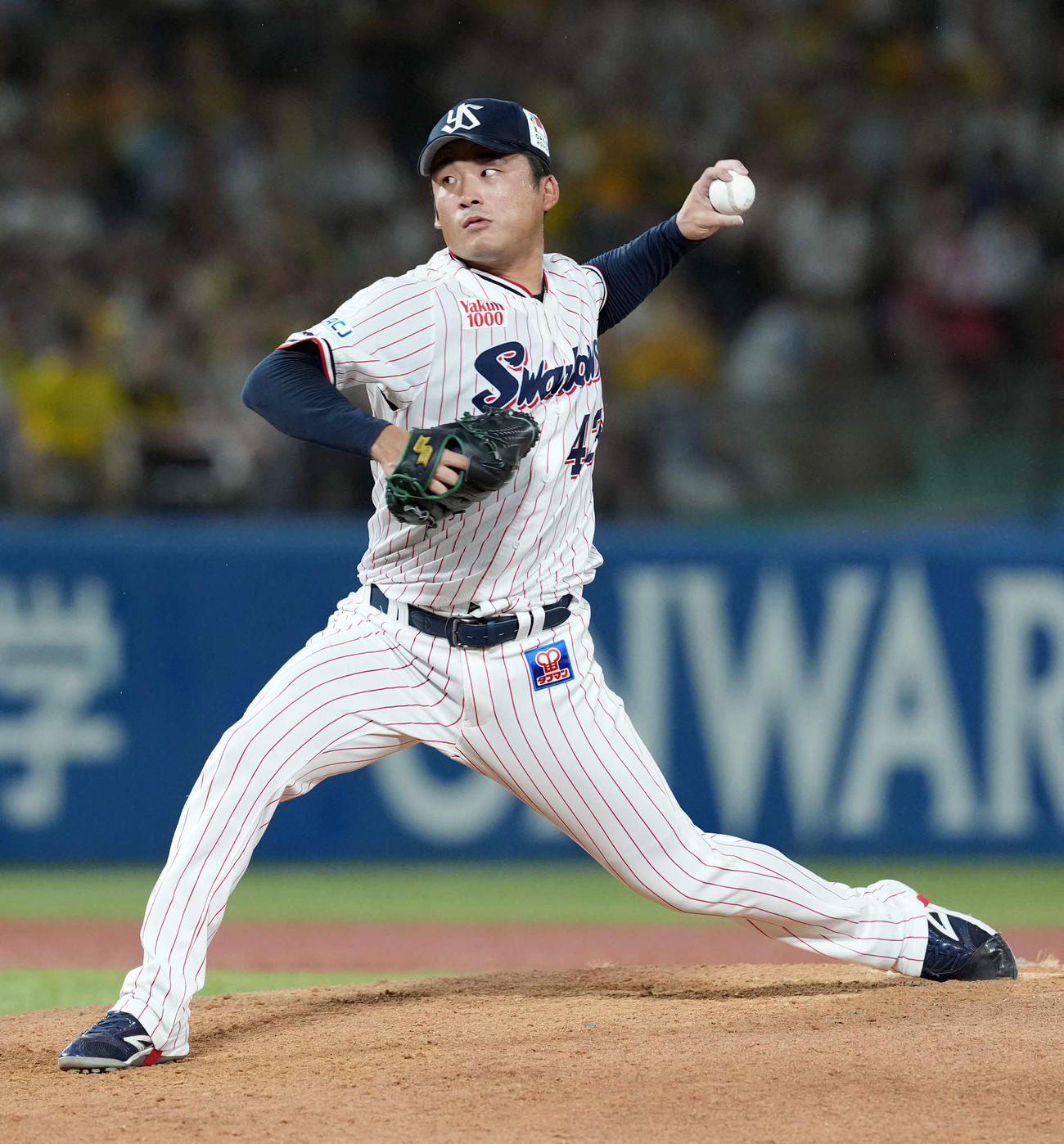 ヤクルト山本大貴（2024年8月6日撮影）