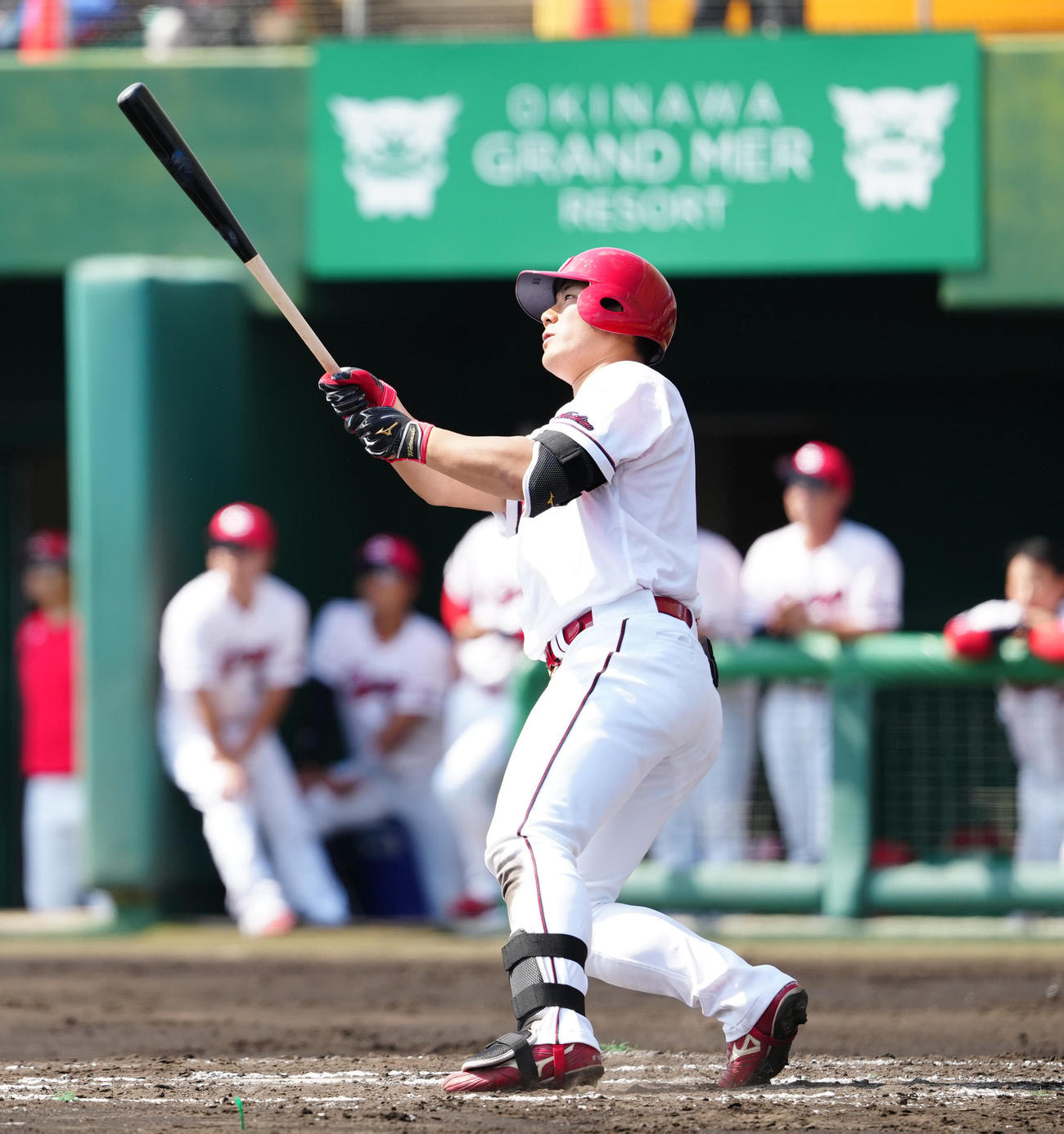広島渡辺悠斗（2025年2月19日撮影）
