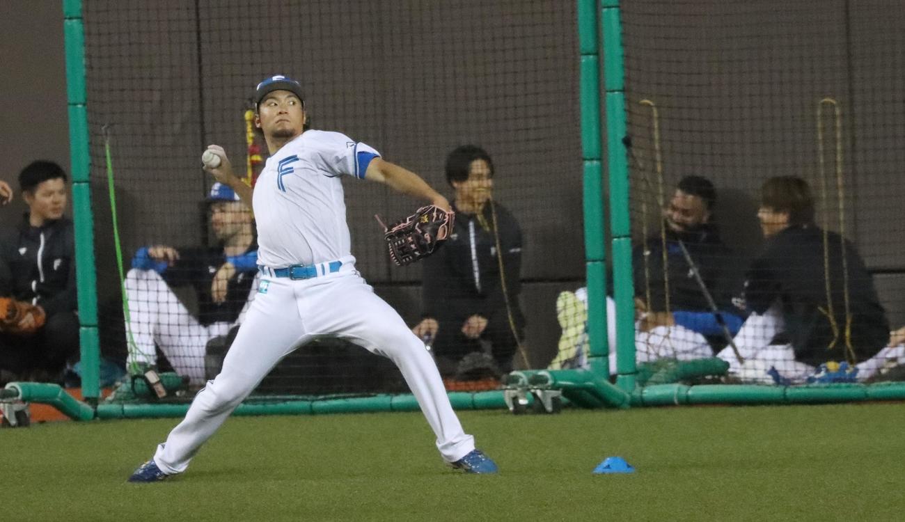 台北ドームで練習する日本ハム伊藤（撮影・永野高輔）