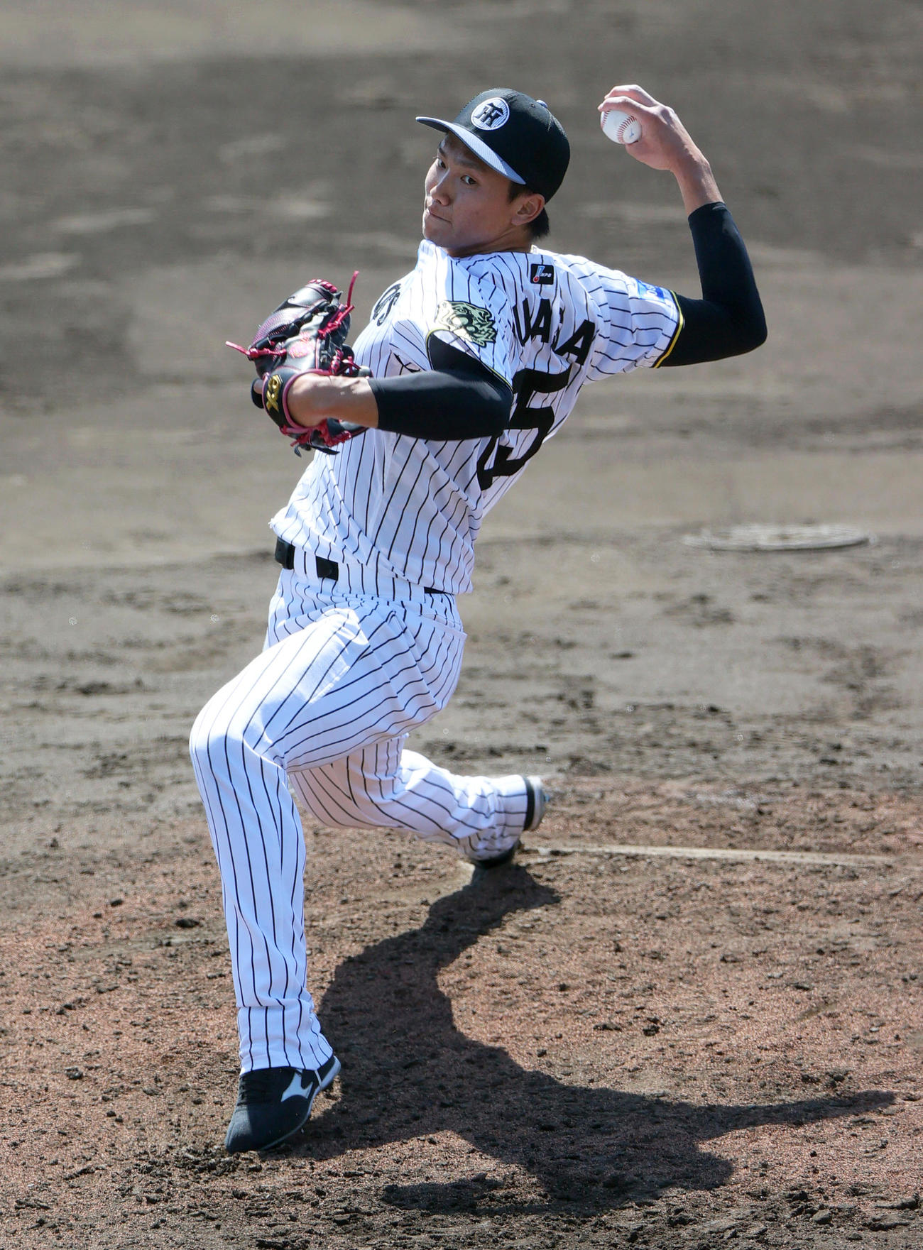 阪神湯浅はライブBPで投球する（撮影・上山淳一）