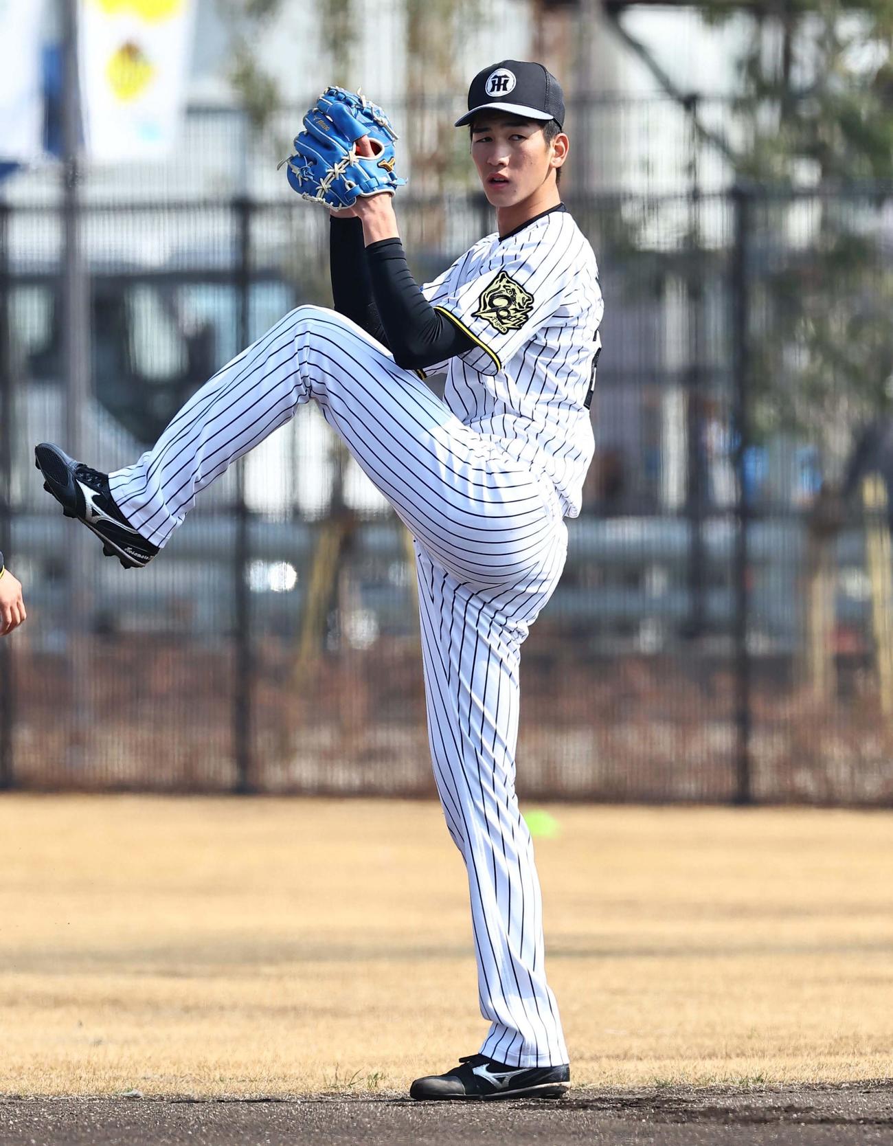 キャッチボールをする今朝丸（撮影・上田博志）