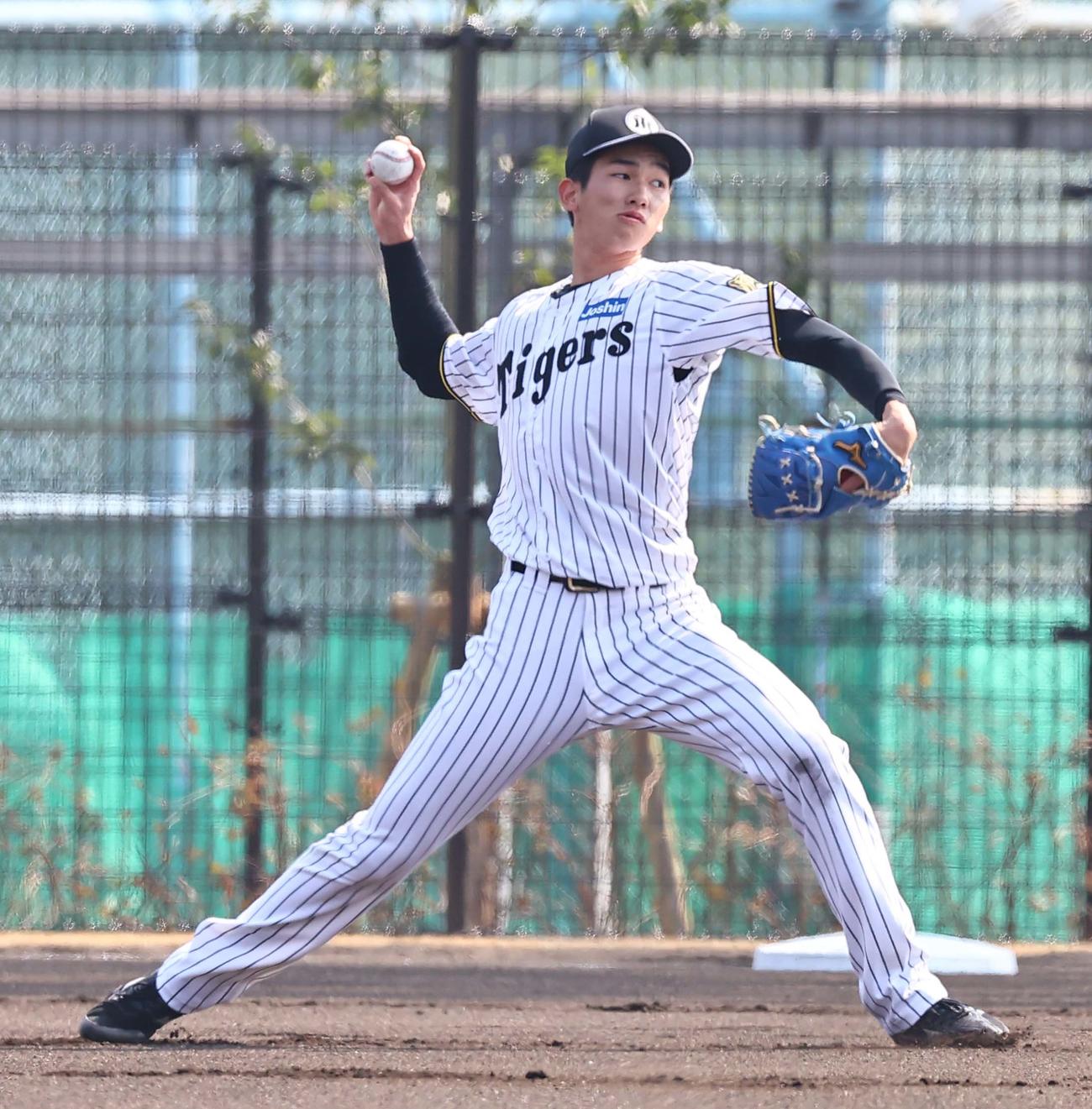 キャッチボールをする今朝丸（撮影・上田博志）