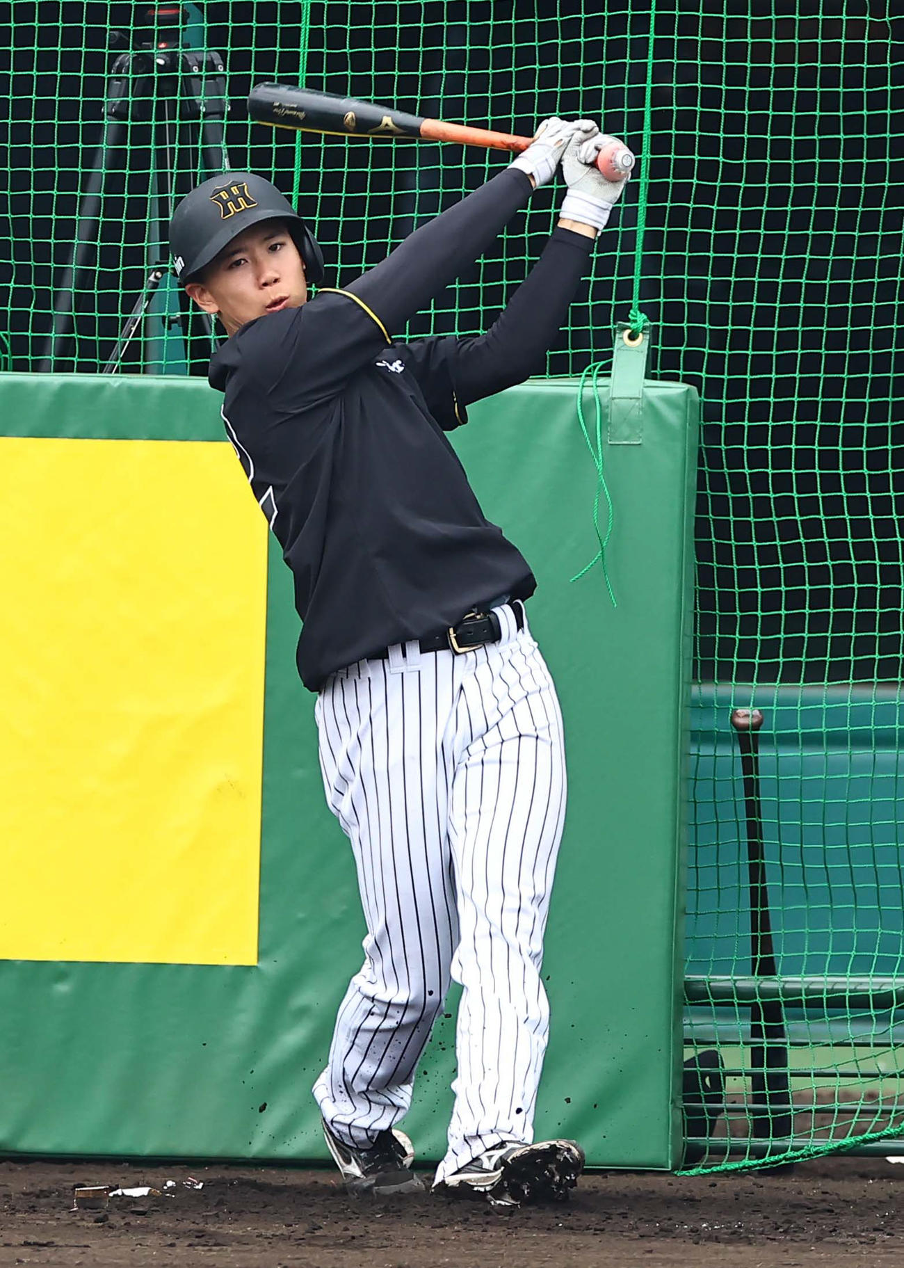 フリー打撃練習をする山田（撮影・上田博志）