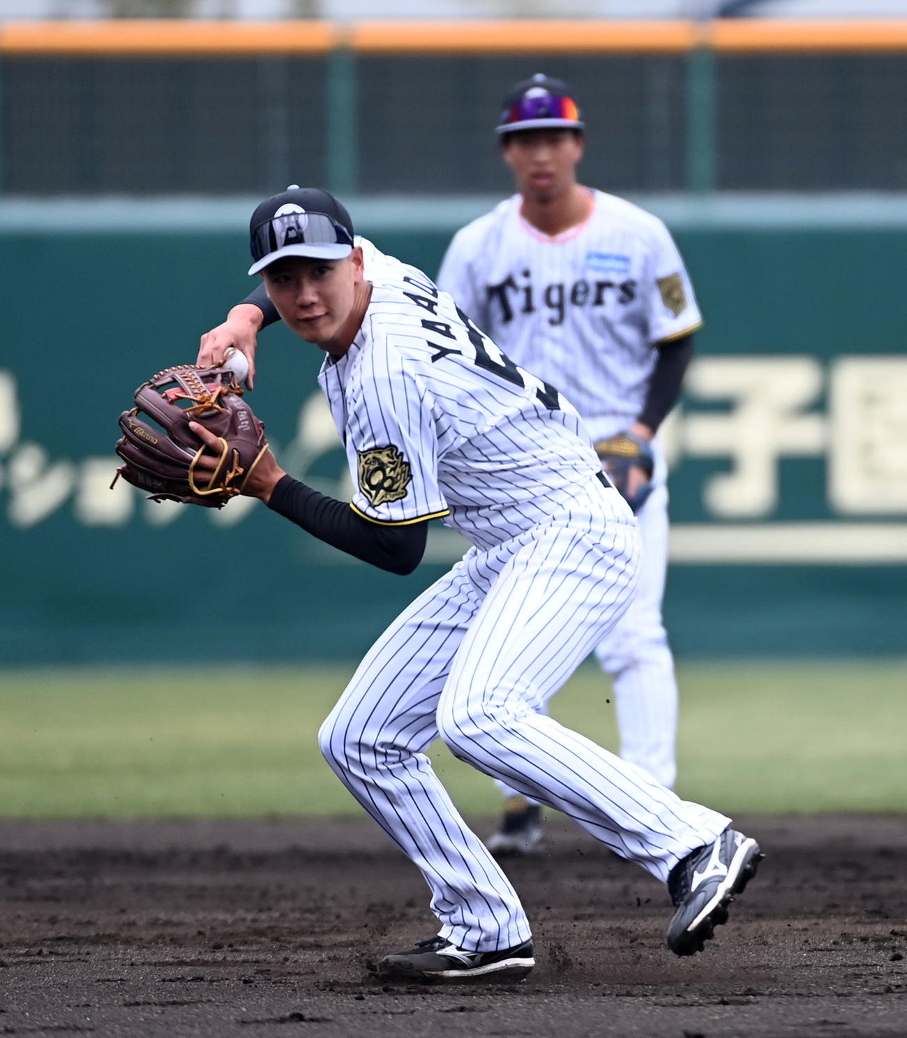 シートノックで送球する阪神山田（撮影・前岡正明）