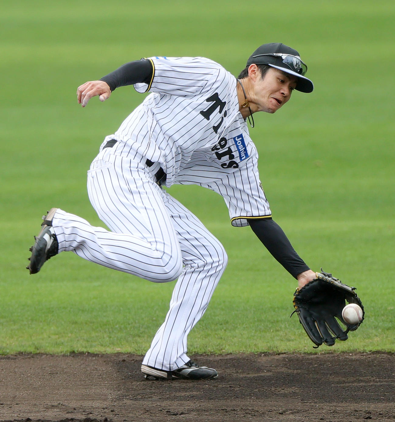 シートノックで汗を流す阪神中野（撮影・上山淳一）
