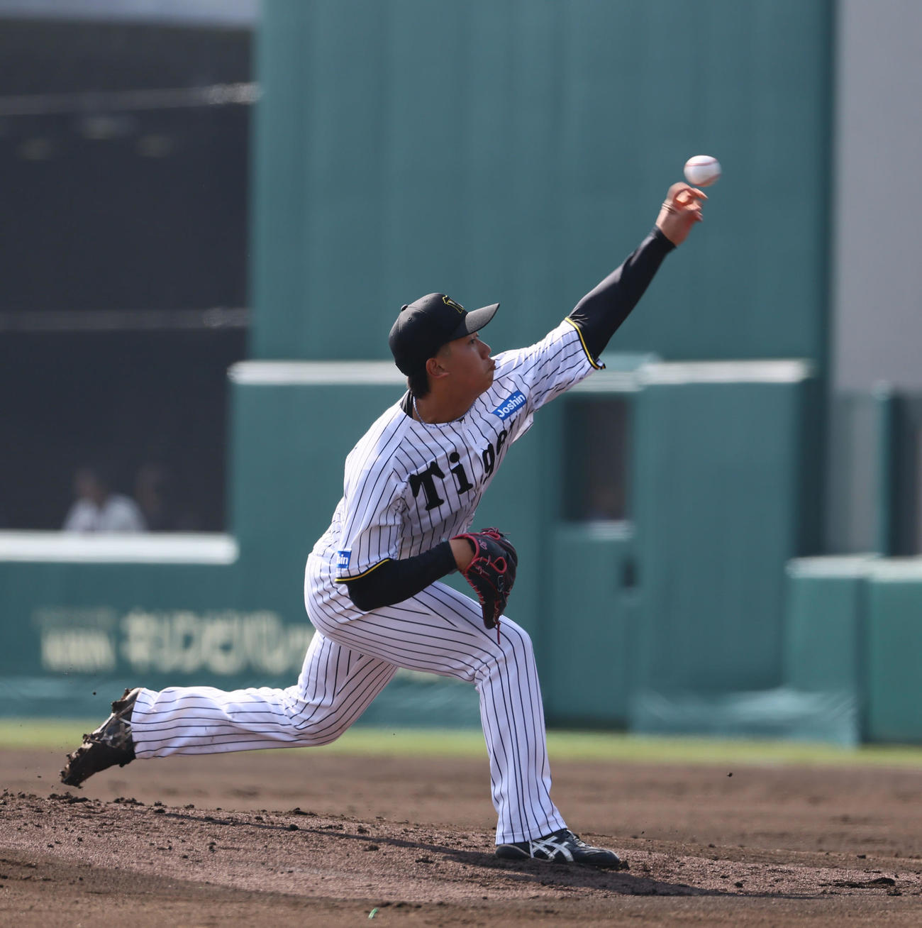 阪神対広島　阪神先発の門別（撮影・藤尾明華）