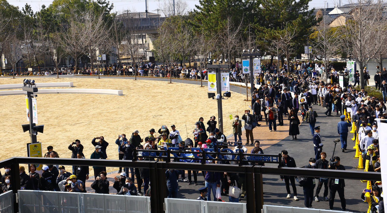 阪神対広島　開門を待つ大勢のファン（撮影・藤尾明華）